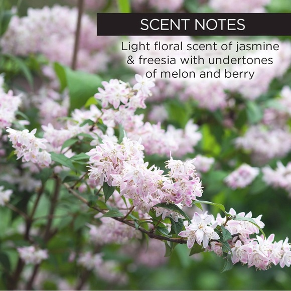 BNIB Replenishing Day Cream - Whish - Picture 10 of 15